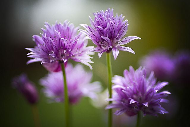 สีสันบนโลก 3