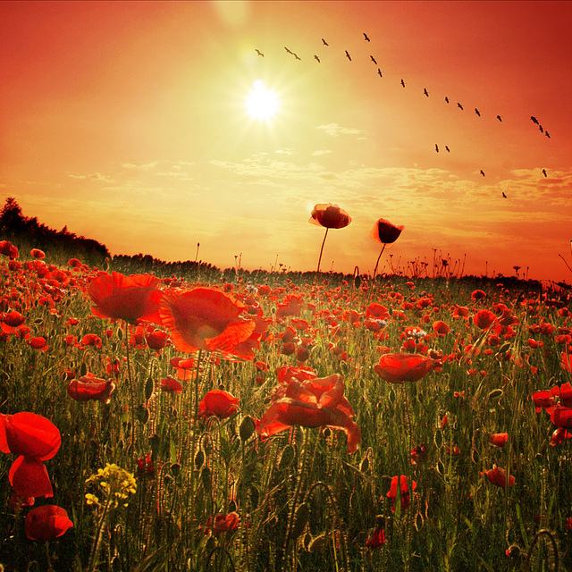 สีสันบนโลก 3