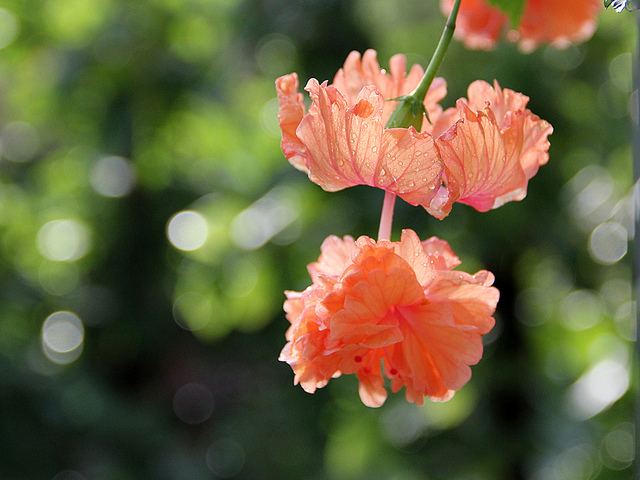 สีสันบนโลก 3