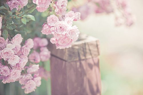 สีสันบนโลก 3