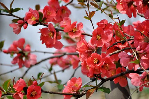 สีสันบนโลก 3
