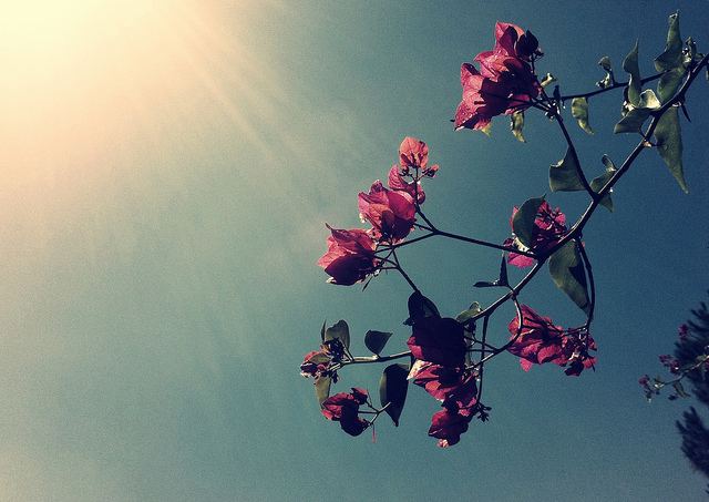 สีสันบนโลก 4