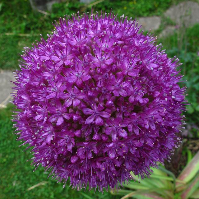 สีสันบนโลก 4