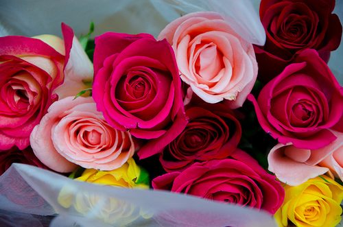 สีสันบนโลก 4