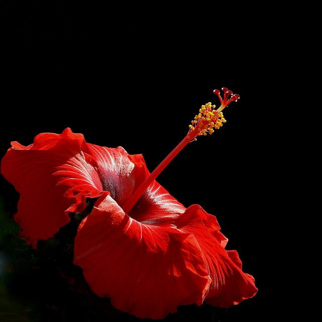 สีสันบนโลก 4