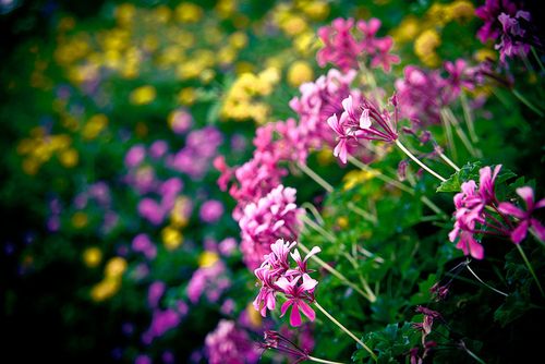 สีสันบนโลก 4