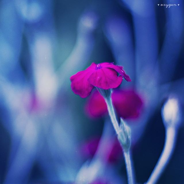 สีสันบนโลก 4