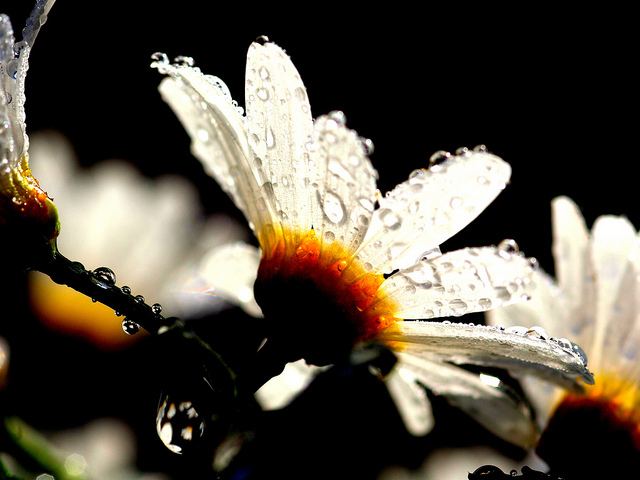สีสันบนโลก 4