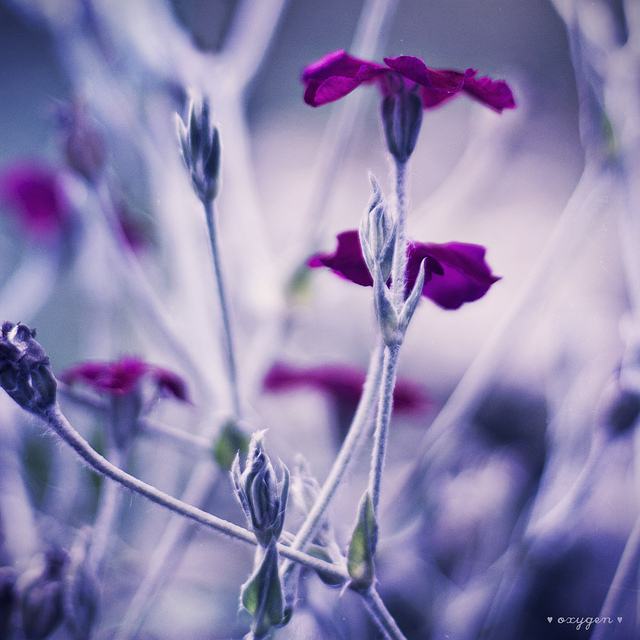 สีสันบนโลก 4