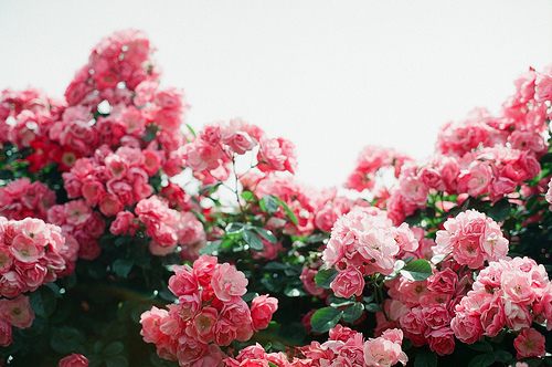 สีสันบนโลก 4