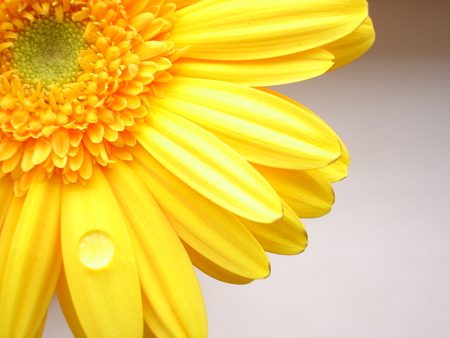 สีสันบนโลก 4