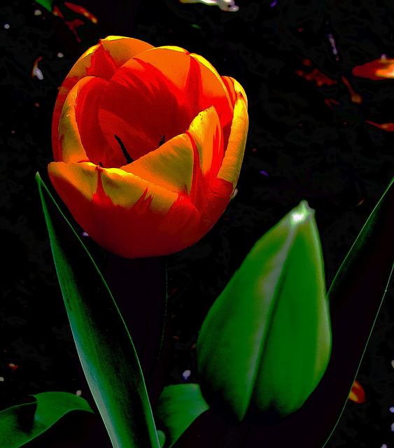สีสันบนโลก 4