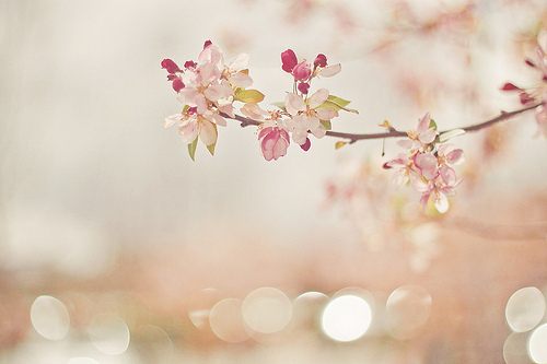 สีสันบนโลก 4