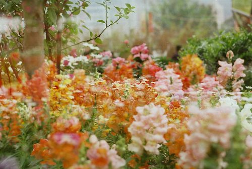 สีสันบนโลก 4