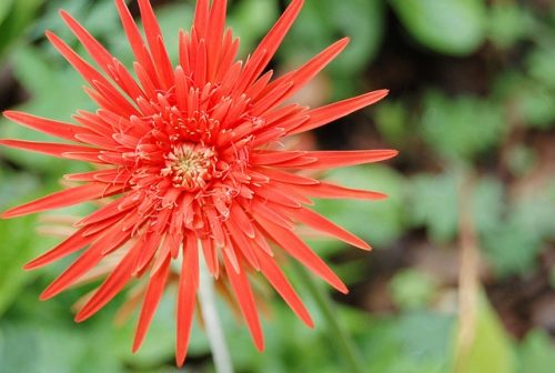 สีสันบนโลก 4