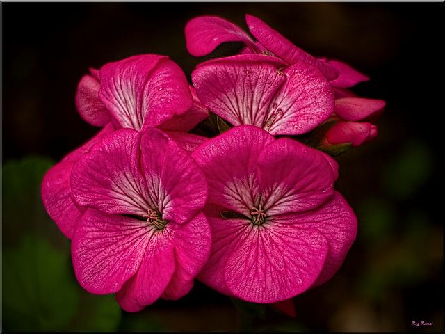 สีสันบนโลก 4