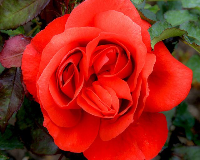 สีสันบนโลก 5