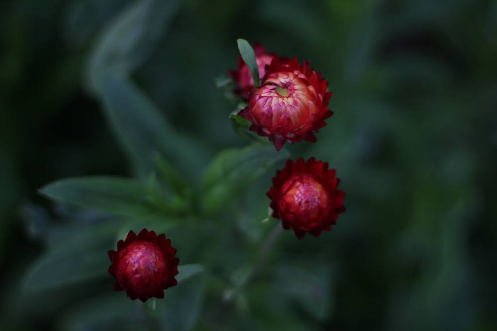 สีสันบนโลก 5