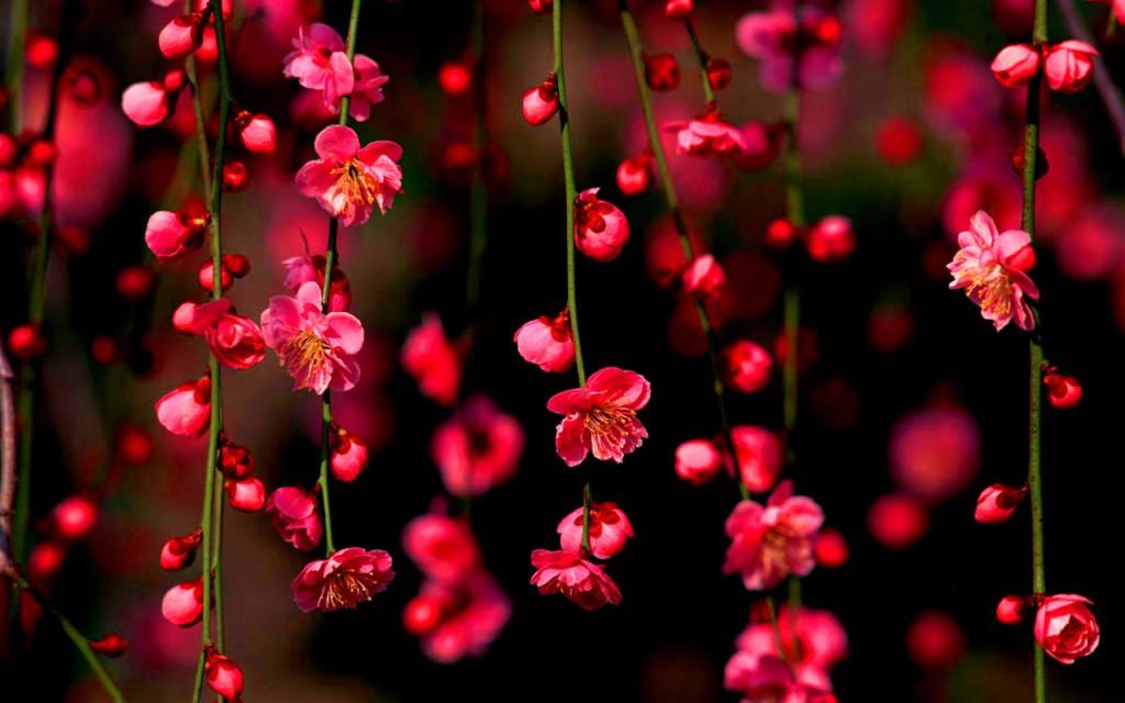 สีสันบนโลก 5