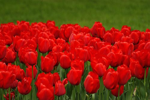 สีสันบนโลก 6