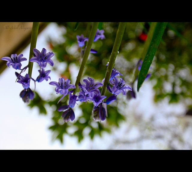 สีสันบนโลก 6