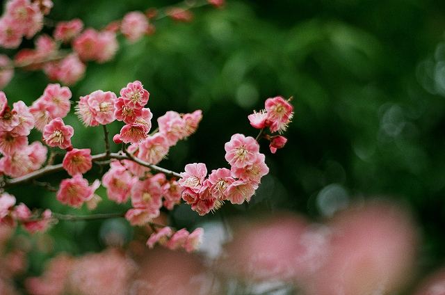 สีสันบนโลก 6