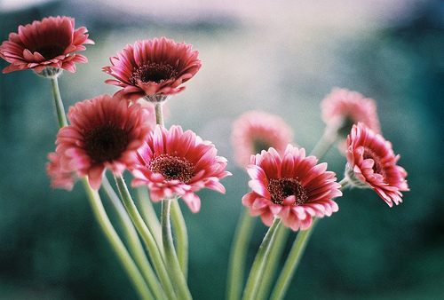 สีสันบนโลก 6