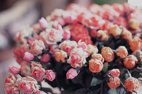 สีสันบนโลก 6