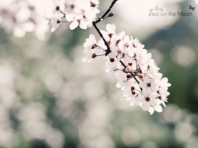 สีสันบนโลก 6