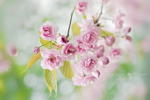 สีสันบนโลก 6