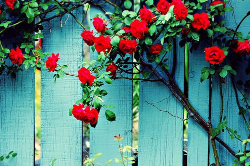 สีสันบนโลก 6