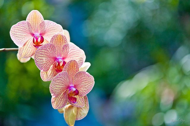 สีสันบนโลก 6