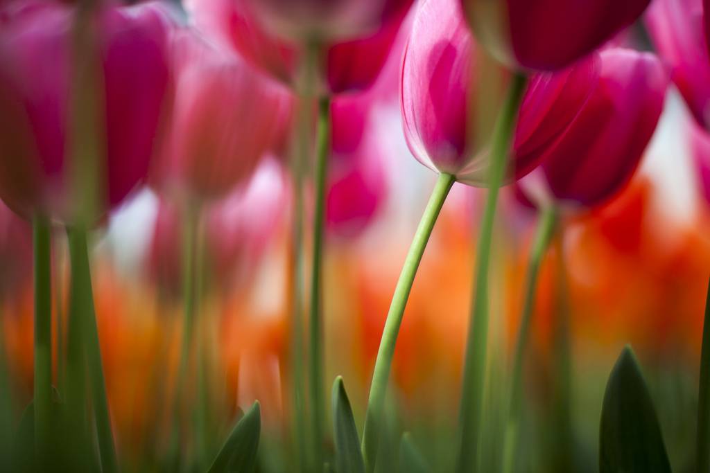 สีสันบนโลก 6