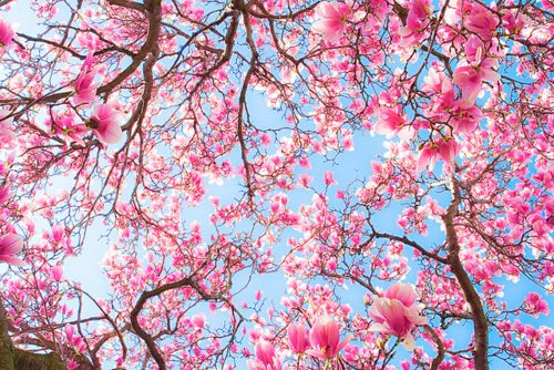 สีสันบนโลก 6
