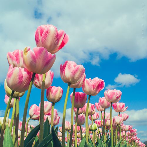 สีสันบนโลก 6