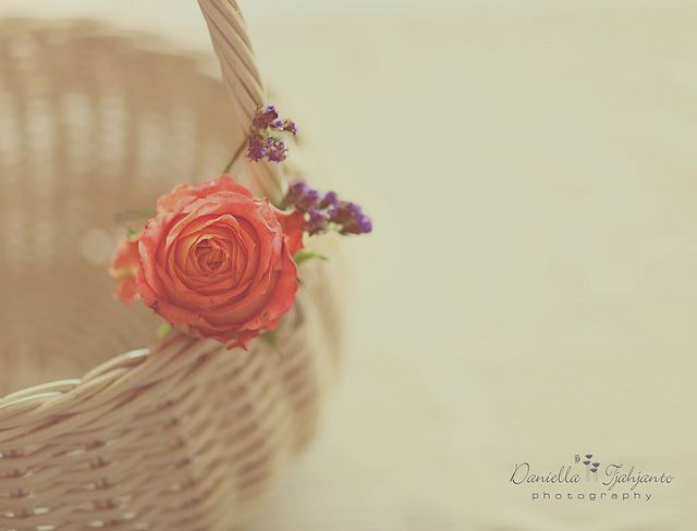 สีสันบนโลก 6