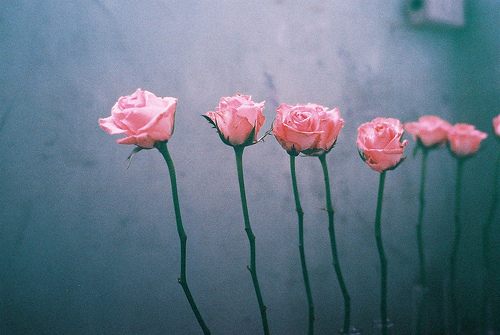 สีสันบนโลก 6