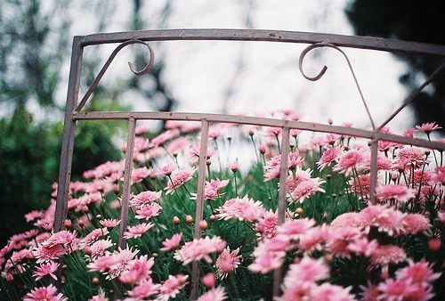 สีสันบนโลก 6