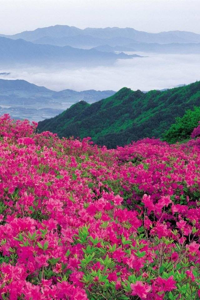 สีสันบนโลก 6