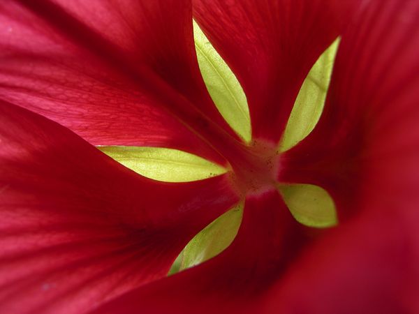 สีสันบนโลก 7