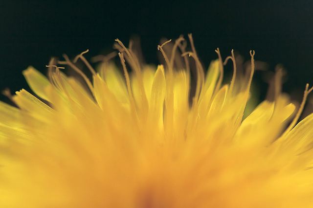 สีสันบนโลก 7