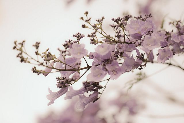 สีสันบนโลก 7