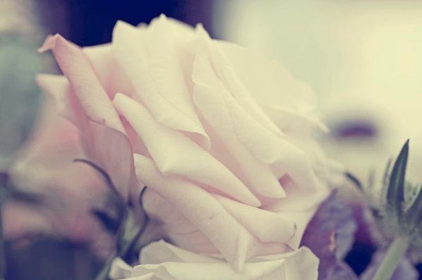 สีสันบนโลก 7