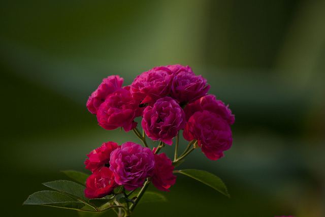 สีสันบนโลก 7