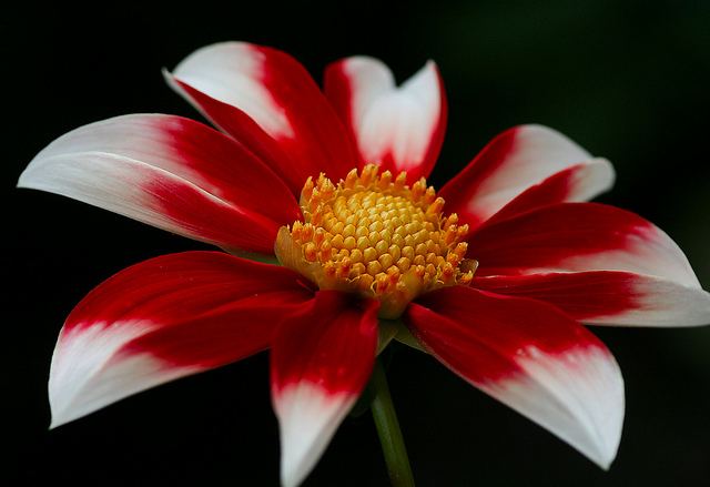 สีสันบนโลก 7