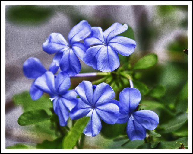 สีสันบนโลก 7