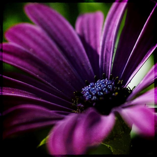 สีสันบนโลก 7