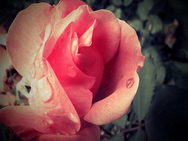 สีสันบนโลก 7