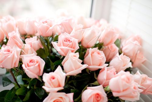 สีสันบนโลก 7
