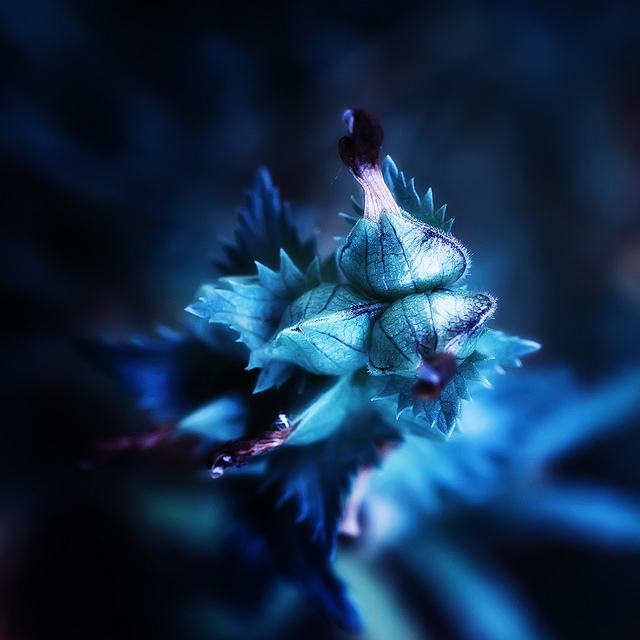 สีสันบนโลก 7